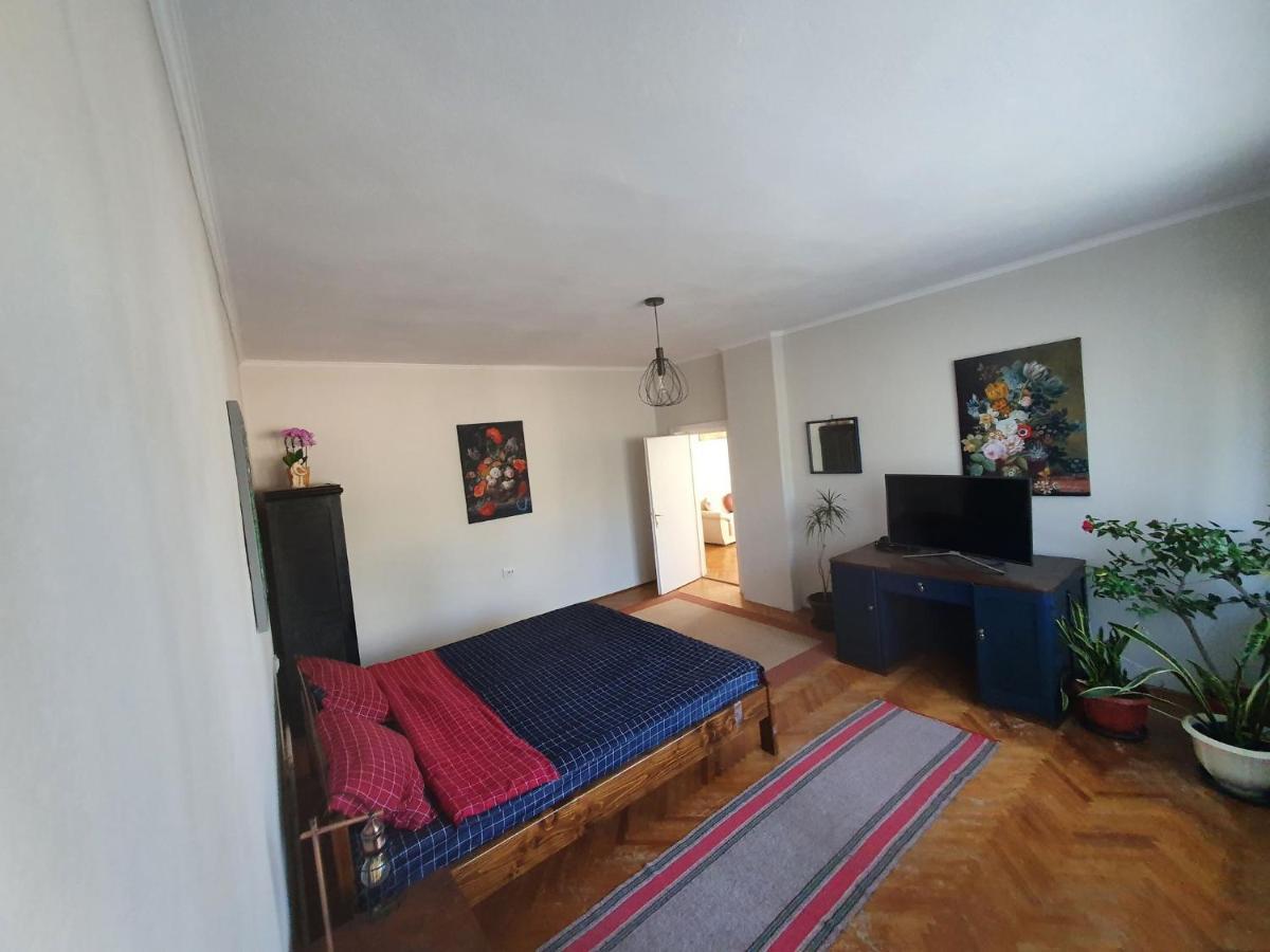 Andrea Apartman Sfântu Gheorghe Bagian luar foto