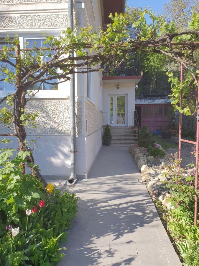 Andrea Apartman Sfântu Gheorghe Bagian luar foto